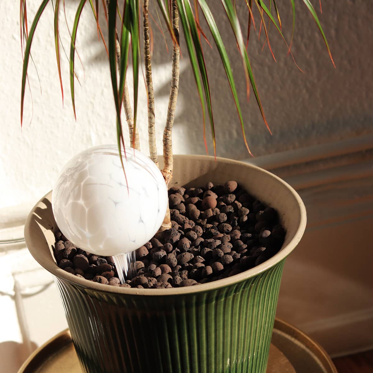Globe d'arrosage pour plantes d'intérieurs en cristal - Envie de Fleurs