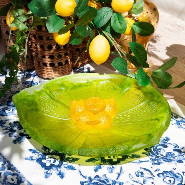 coupe-fruit-citrus-daum-2024