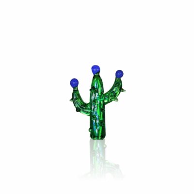 mini-cactus-verre